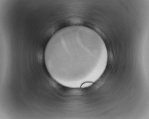 X0000112970668200910081046