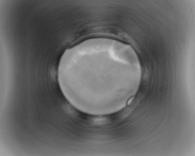 X0000112970669200910081046