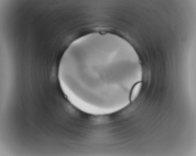 X0000112970670200910081046
