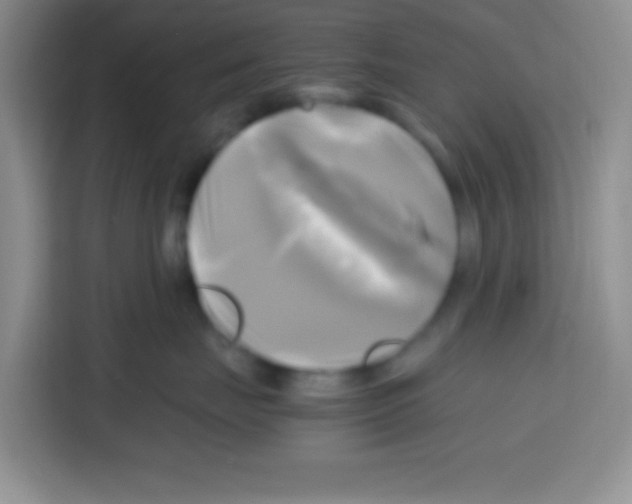 X0000112970671200910081046