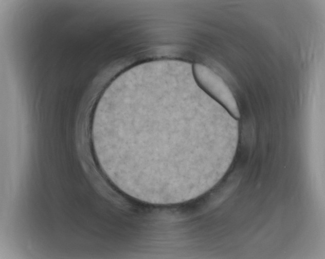 X0000112970673200910081046