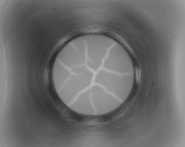 X0000112970675200910081046