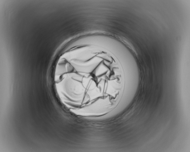 X0000112970676200910081046