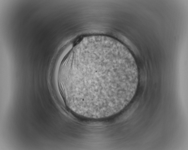 X0000112970677200910081046