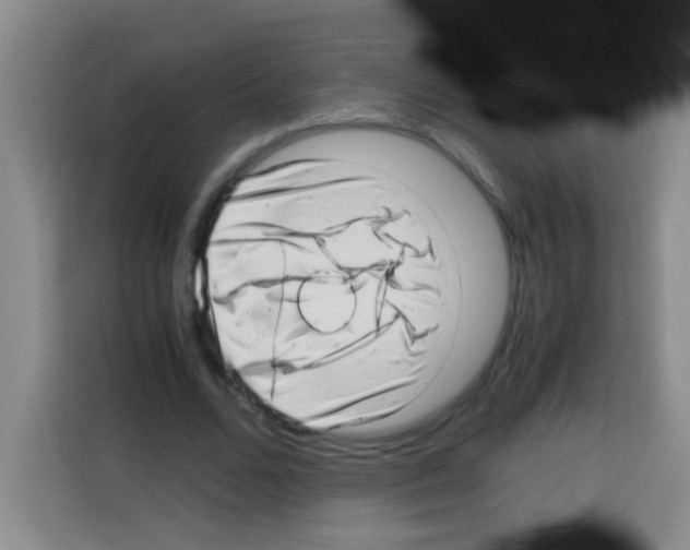 X0000112970680200910081046
