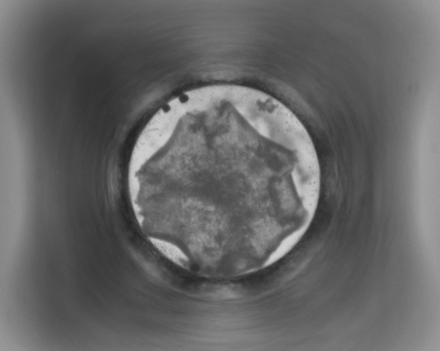 X0000112970683200910081046