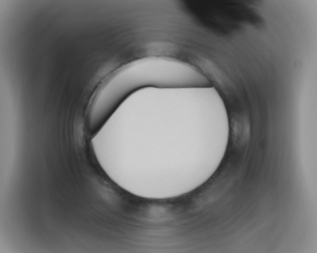 X0000112970684200910081046