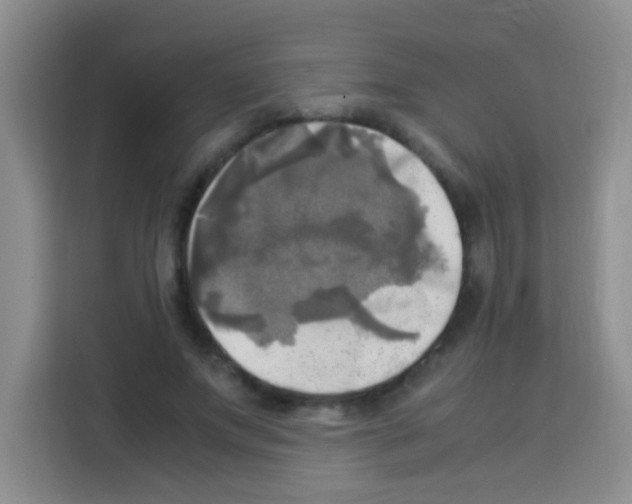 X0000112970687200910081046
