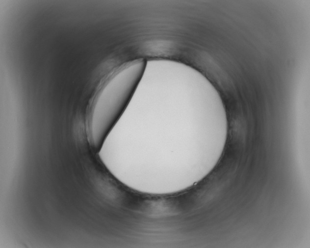 X0000112970688200910081046