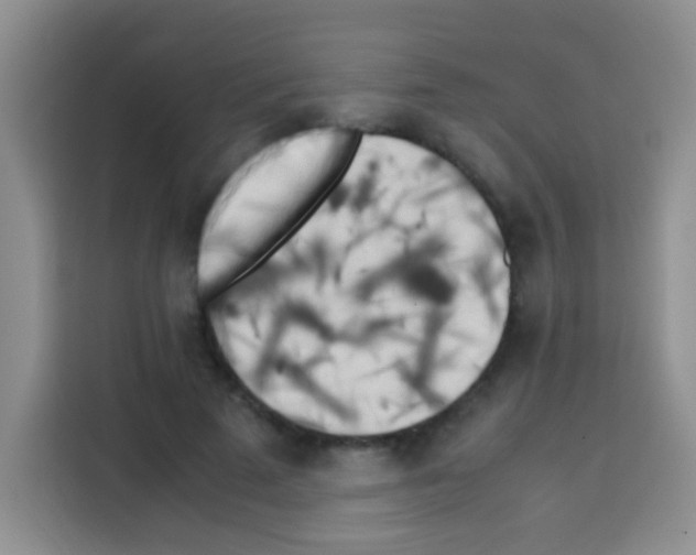 X0000112970689200910081046