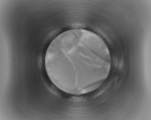 X0000112970690200910081046