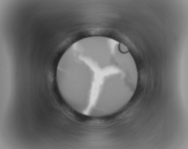 X0000112970691200910081046