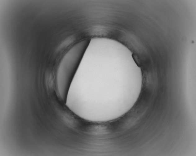 X0000112970692200910081046