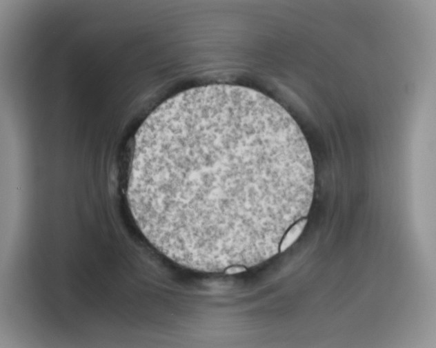 X0000112970693200910081046