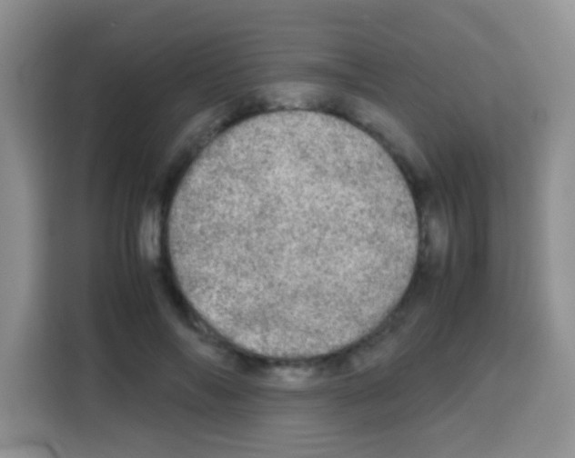 X0000112970694200910081046