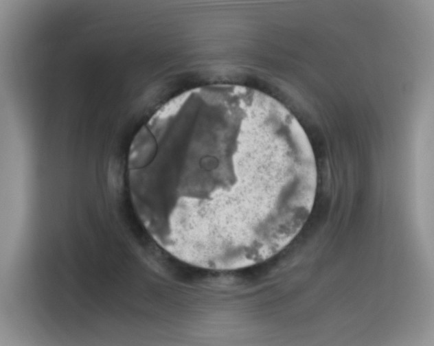 X0000112970695200910081046