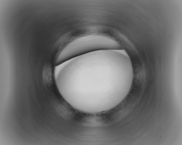 X0000112970696200910081046