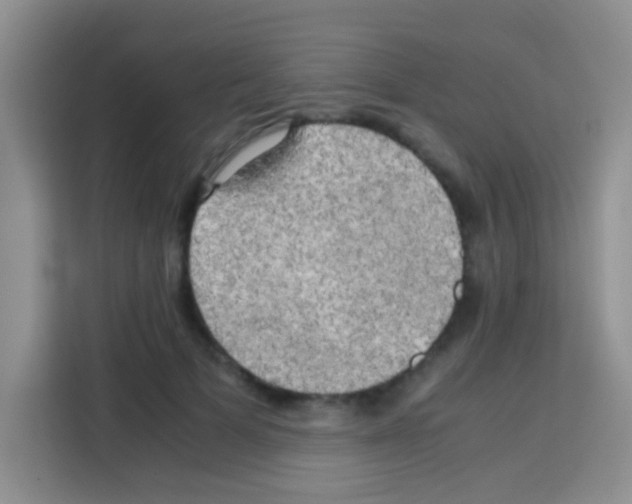 X0000112970697200910081046