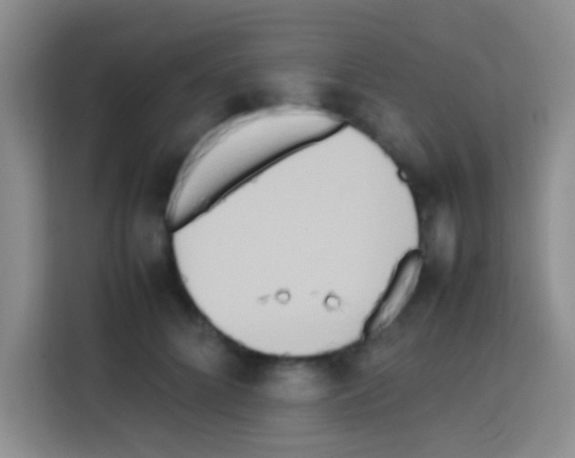 X0000112970704200910081045