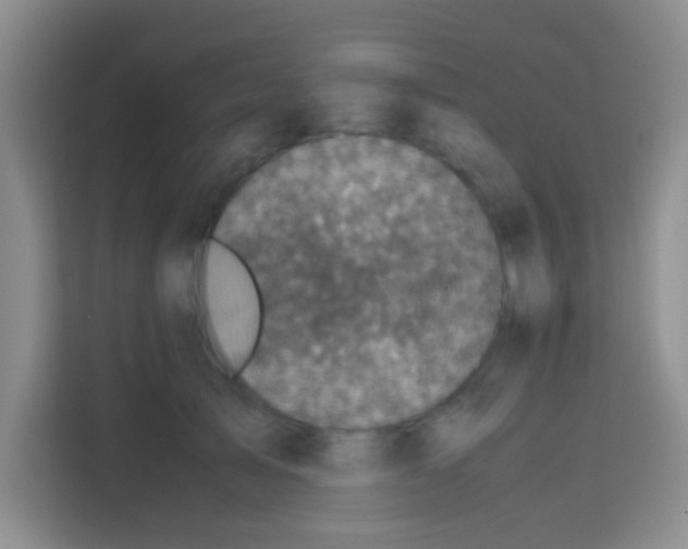 X0000112970705200910081045