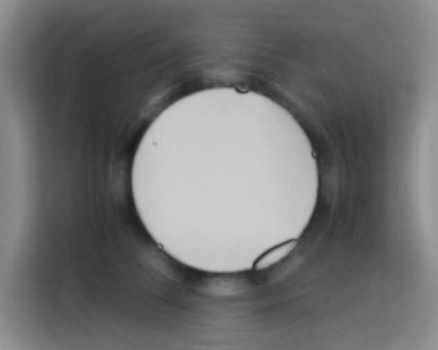 X0000112970708200910081045