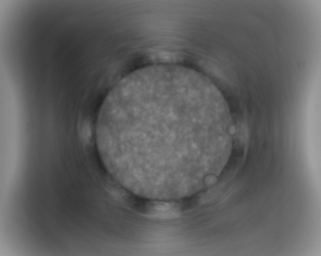 X0000112970709200910081045