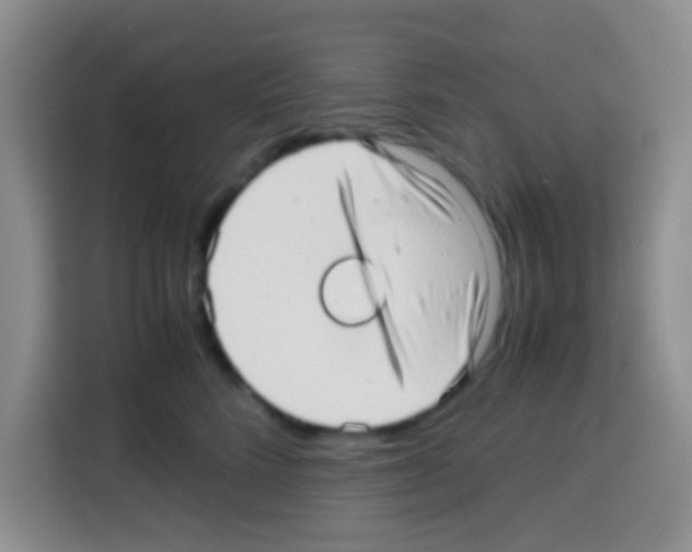 X0000112970712200910081045