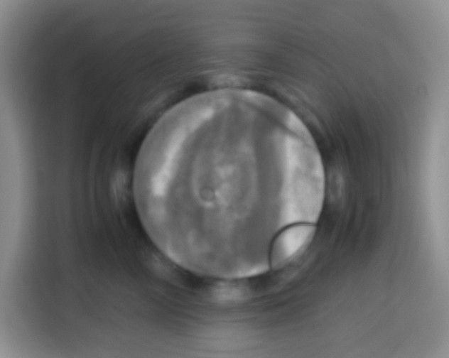 X0000112970714200910081045