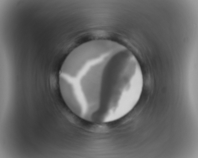 X0000112970715200910081045