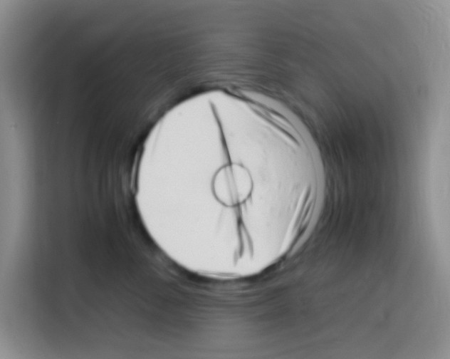 X0000112970716200910081045