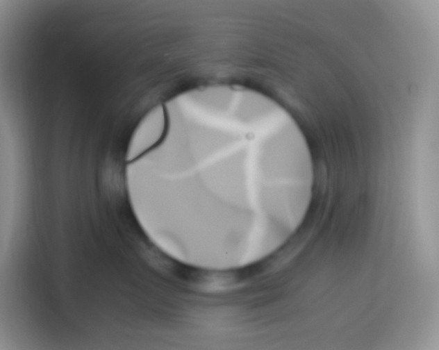X0000112970719200910081045