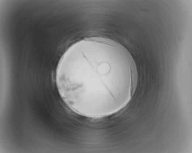 X0000112970720200910081045