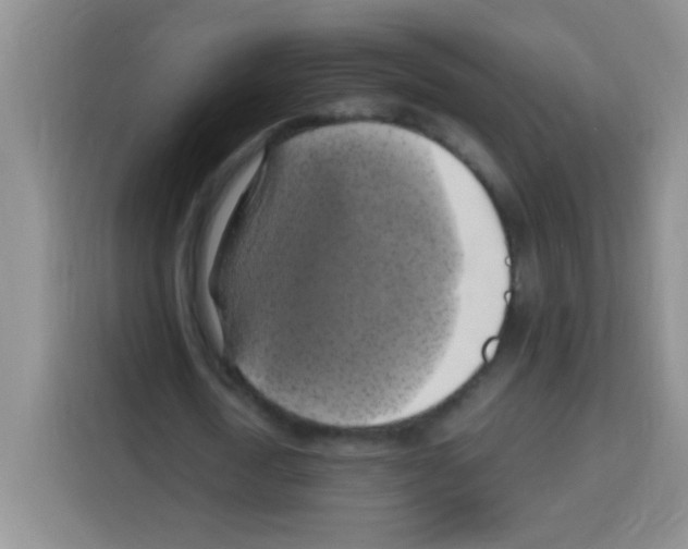 X0000112970722200910081045