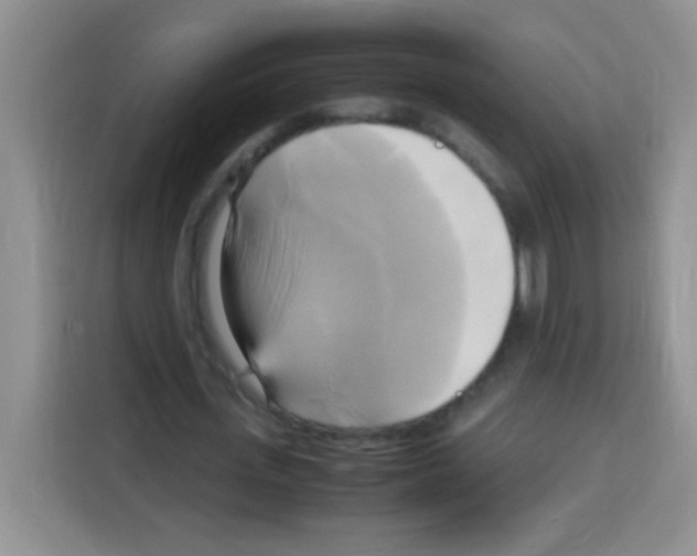 X0000112970723200910081045