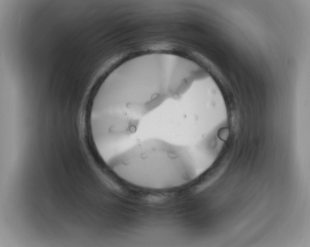 X0000112970725200910081045