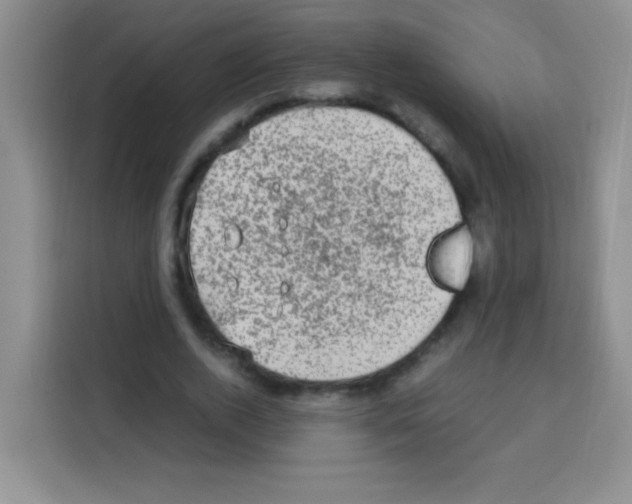 X0000112970728200910081045