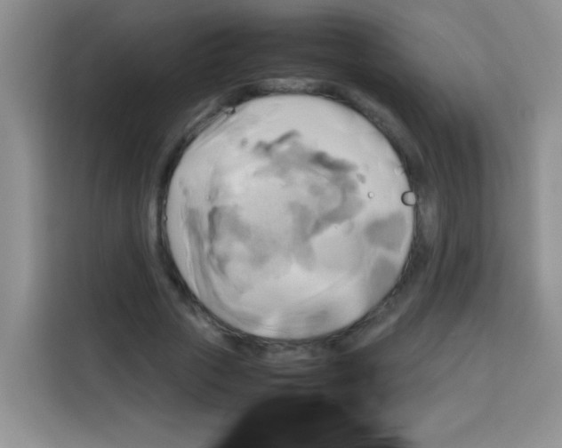 X0000112970729200910081045