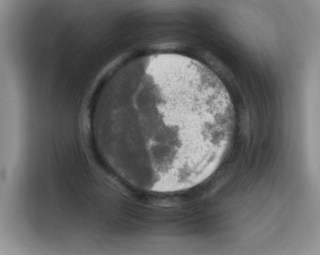 X0000112970731200910081045