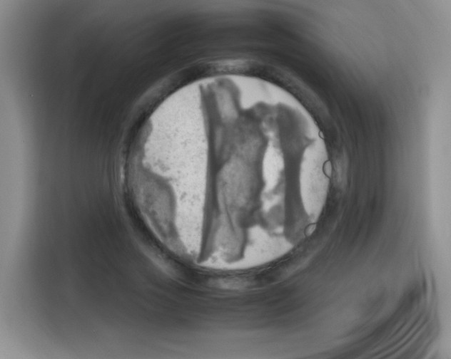 X0000112970733200910081045