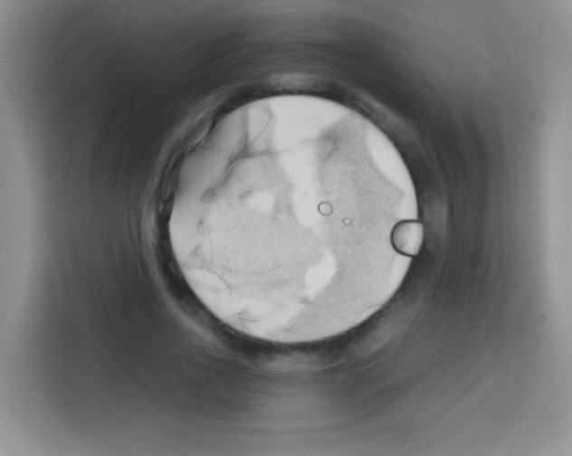 X0000112970734200910081045