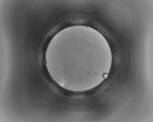 X0000112970735200910081045
