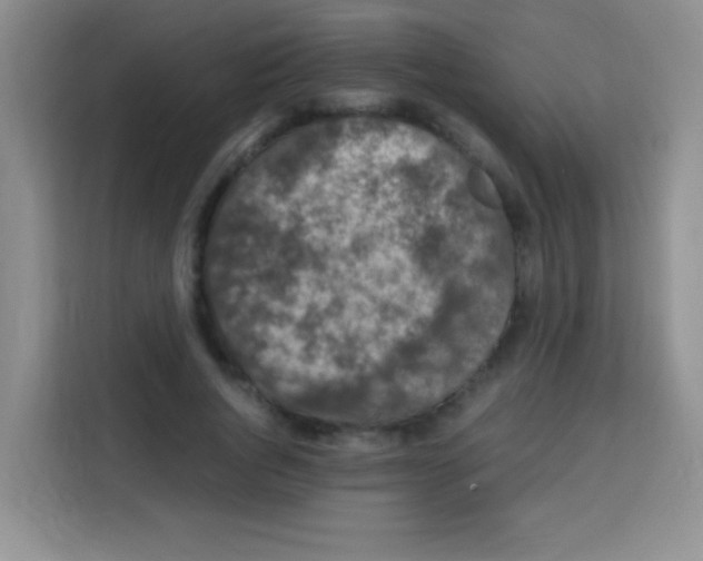 X0000112970736200910081045