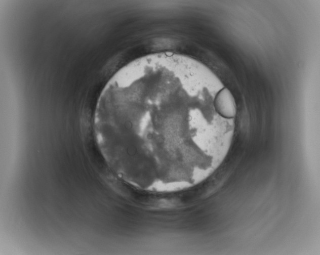 X0000112970737200910081045