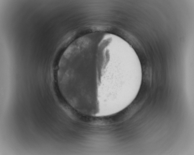 X0000112970738200910081045
