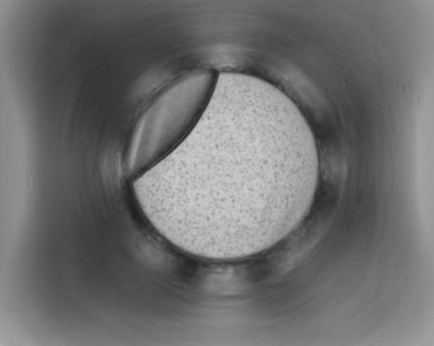 X0000112970740200910081045