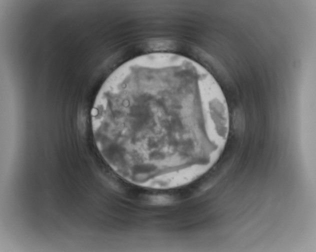 X0000112970741200910081045
