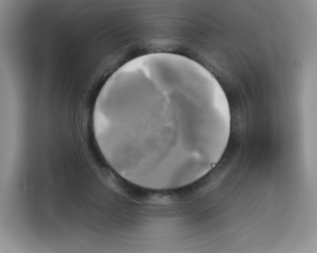 X0000112970742200910081045