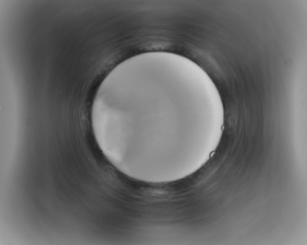 X0000112970743200910081045
