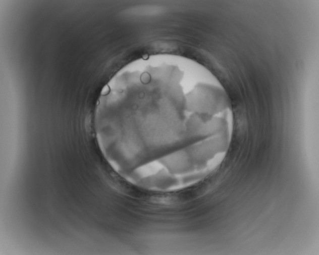X0000112970745200910081045