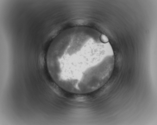 X0000112970746200910081045